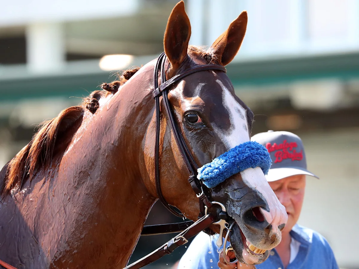 Usha Returns to Winner's Circle in Open Mind Event
