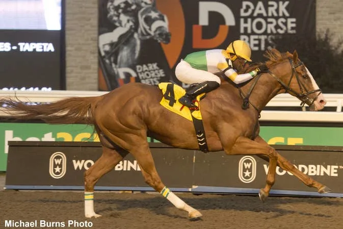 Veteran War Court Seeks First Graded Win in Durham Cup