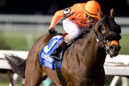 Wicked Django in Great Form Ahead of Grand Valley Stakes