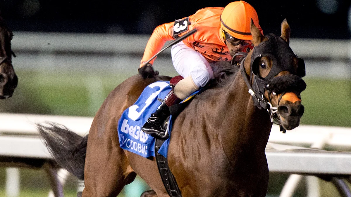 Wicked Django in Great Form Ahead of Grand Valley Stakes