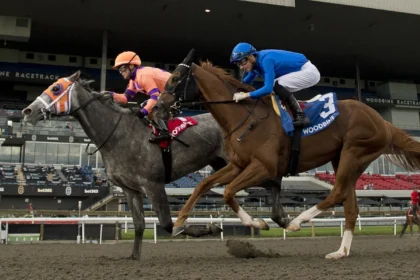 William T Denies Maycocks Bay Victory in Durham Cup