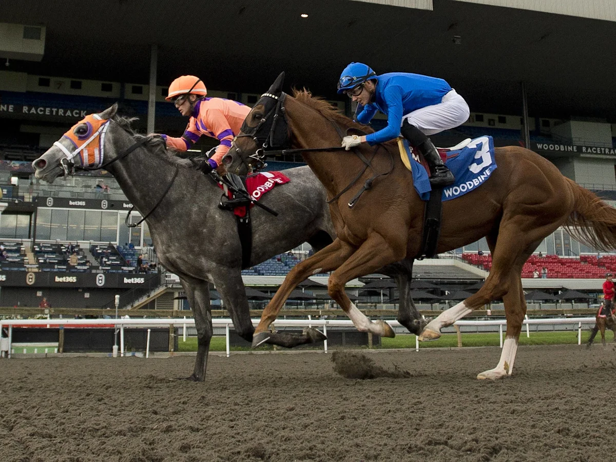 William T Denies Maycocks Bay Victory in Durham Cup
