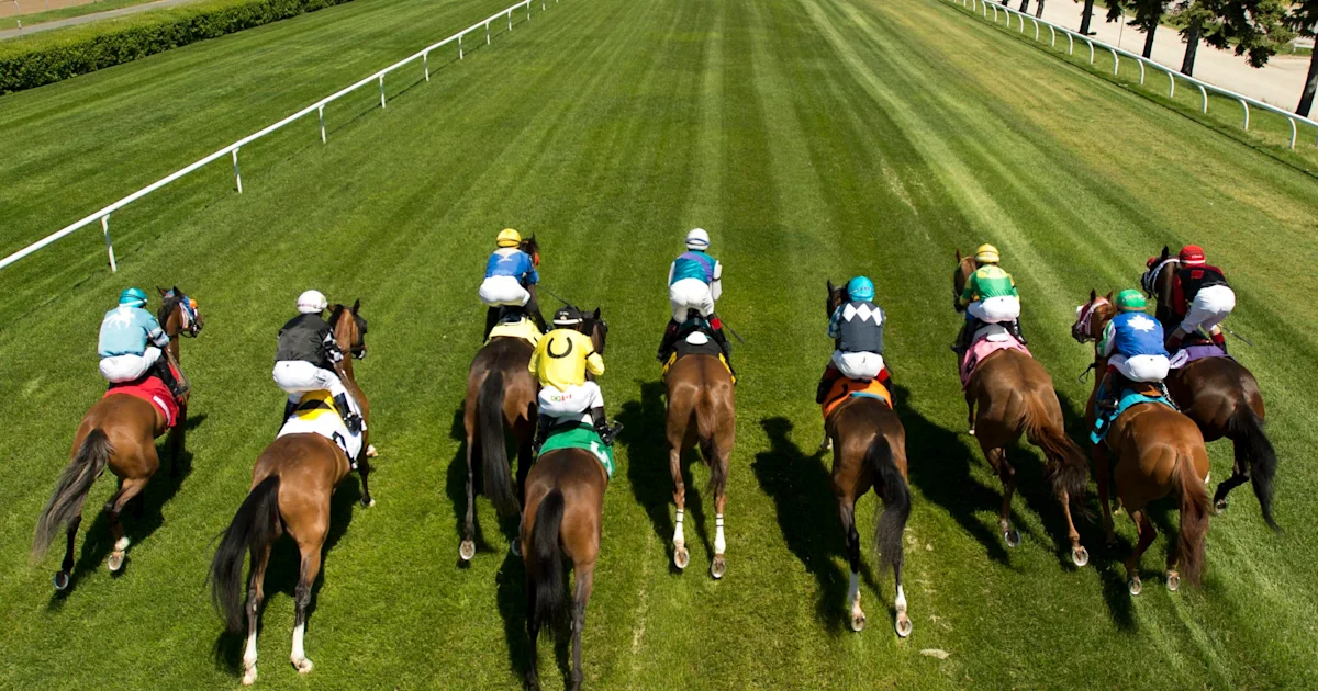 Woodbine Celebrates Aftercare on Canadian International Card