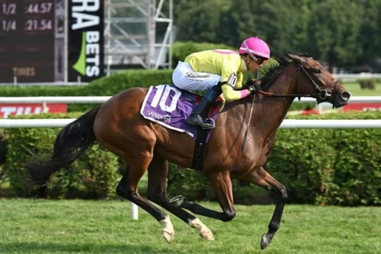 Yolo Train Set for Stakes Debut in Matron