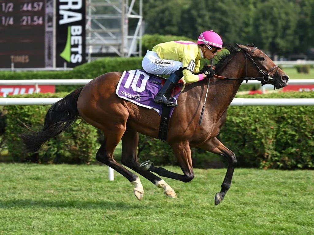 Yolo Train Set for Stakes Debut in Matron