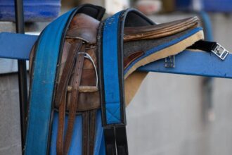 Young Thoroughbreds Exhibit Varied Behavioral Changes Following Pre-Training