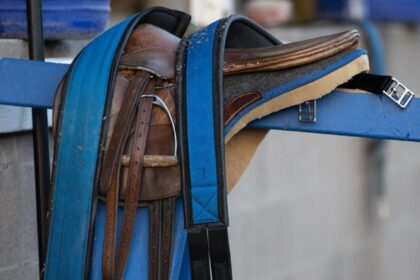 Young Thoroughbreds Exhibit Varied Behavioral Changes Following Pre-Training