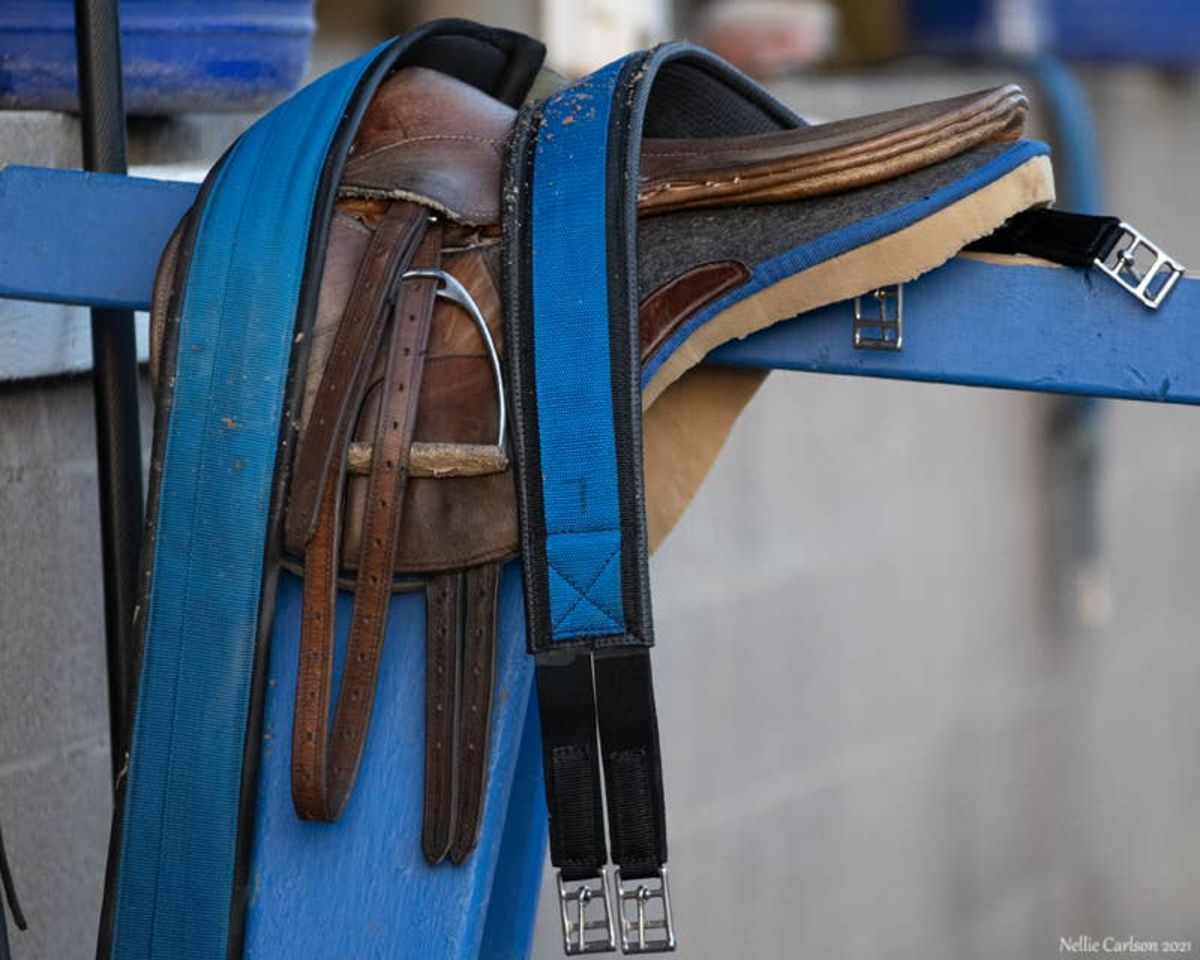 Young Thoroughbreds Exhibit Varied Behavioral Changes Following Pre-Training