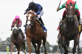 31-1 Egyptian Mau Wins Belmont Turf Sprint, Exceeding Expectations