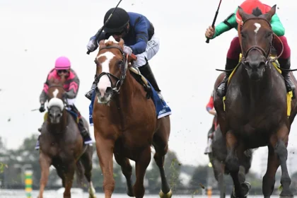 31-1 Egyptian Mau Wins Belmont Turf Sprint, Exceeding Expectations