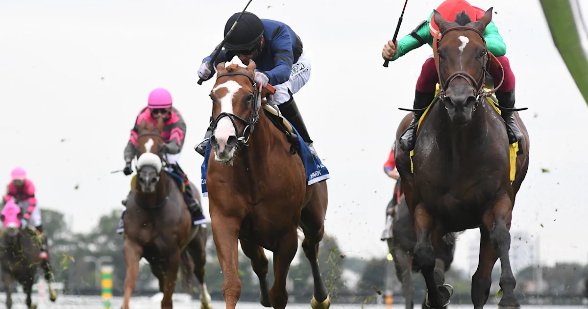 31-1 Egyptian Mau Wins Belmont Turf Sprint, Exceeding Expectations