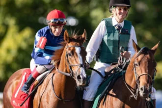 Adonius Surges to Indian Summer Victory Ahead of Breeders' Cup