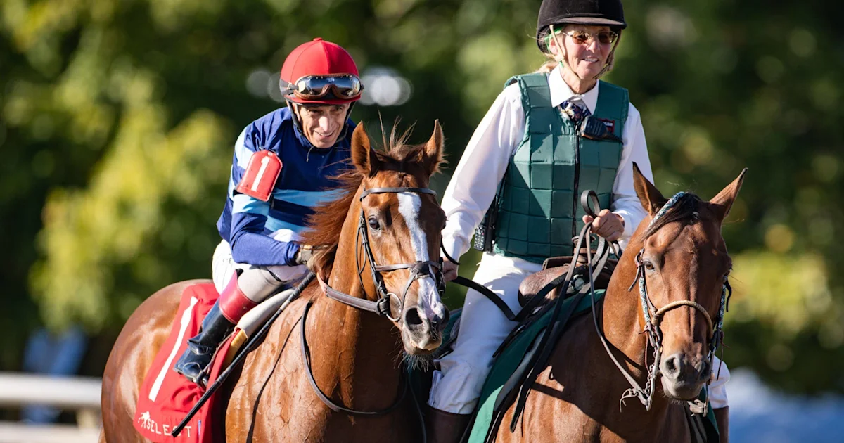Adonius Surges to Indian Summer Victory Ahead of Breeders' Cup