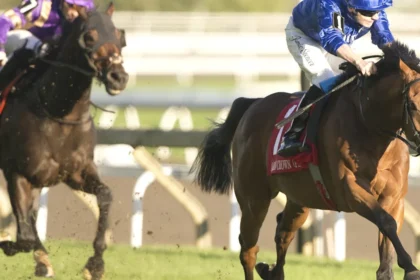 Arabian Crown Wins Canadian International in North American Debut