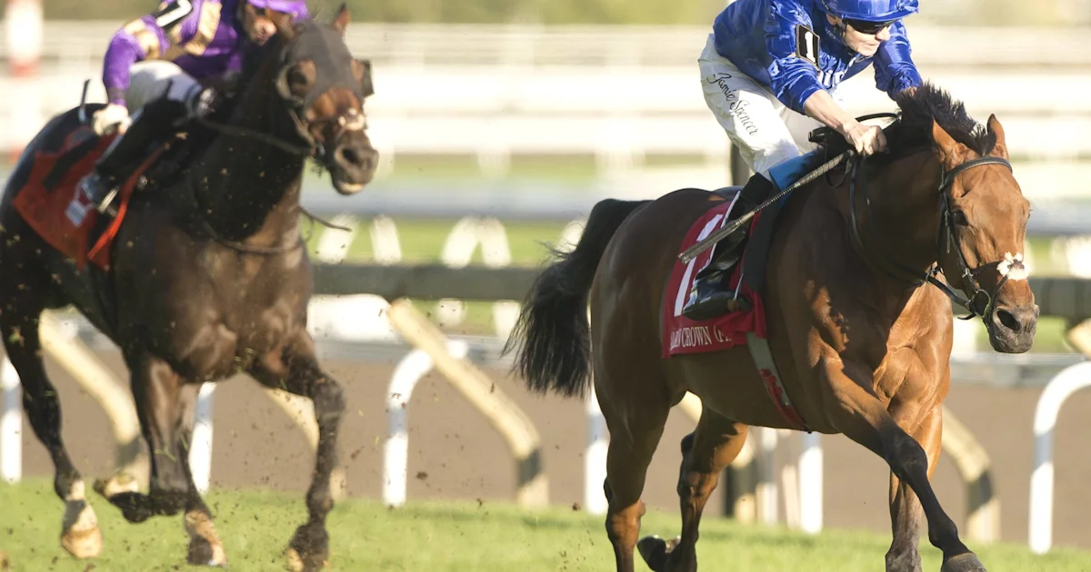 Arabian Crown Wins Canadian International in North American Debut