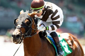 Big City Light Makes Santa Anita Hillside Turf Debut in California Flag Handicap
