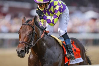 Breeders’ Cup Sprint Hopeful Englishman Misses Workout Due to Foot Issue