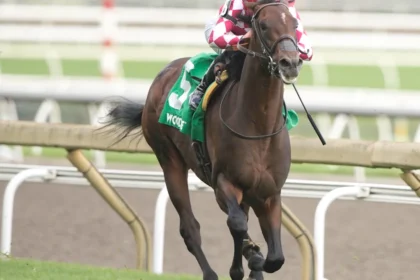 Canada Aces to Test Turf in Cup & Saucer Stakes