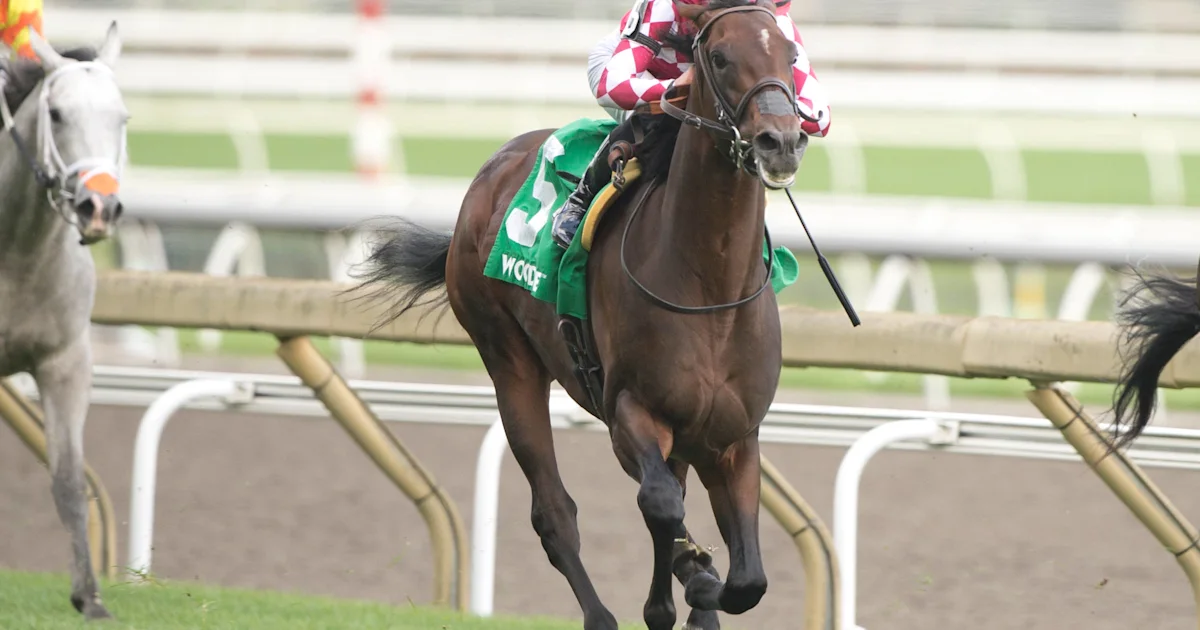 Canada Aces to Test Turf in Cup & Saucer Stakes