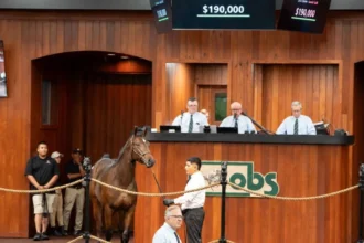 Daughter of Girvin Leads Day 1 of OBS October Yearling Sale