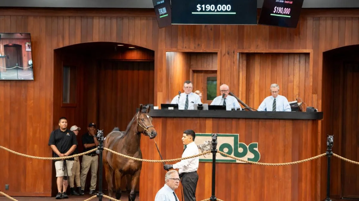 Daughter of Girvin Leads Day 1 of OBS October Yearling Sale