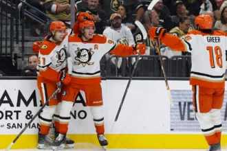 Ducks defeat Golden Knights 4-3 in hockey game