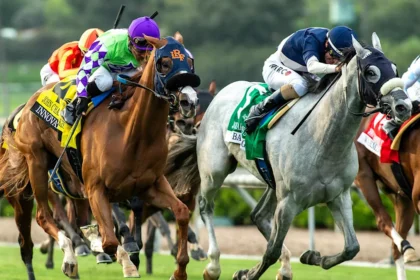 Eight Horses Enter Post for Wide-Open Swingtime Stakes