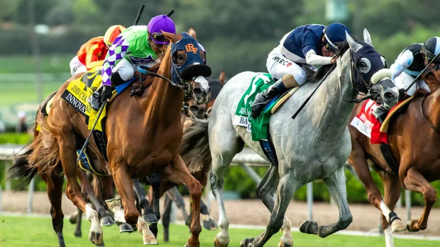 Eight Horses Enter Post for Wide-Open Swingtime Stakes