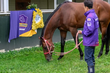 Forever Young Tops Final Breeders' Cup Classic Rankings