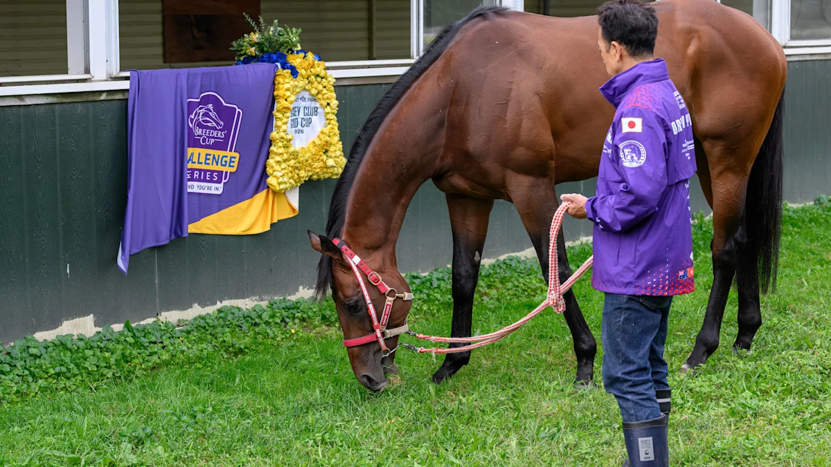Forever Young Tops Final Breeders' Cup Classic Rankings