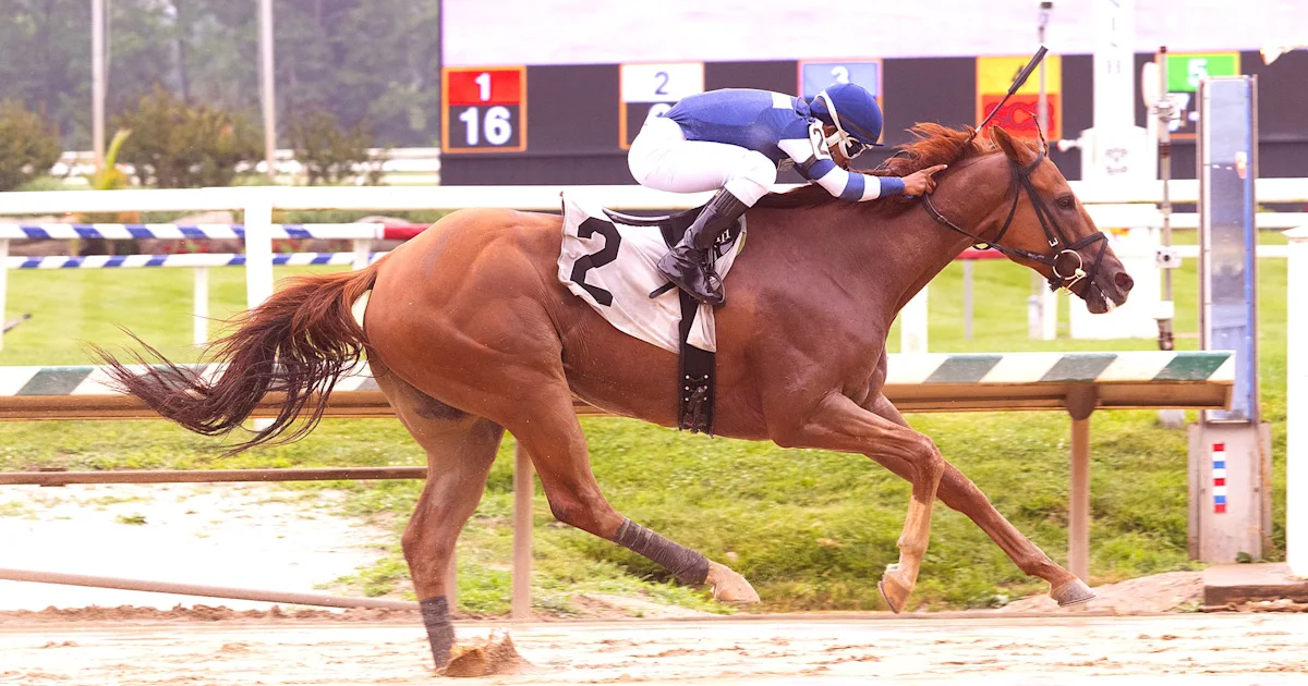 Four Stakes Scheduled at Laurel Park Saturday