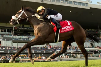 G1 Winner Placed Two Out Hero Headlines Inaugural Bricks And Mortar Stakes