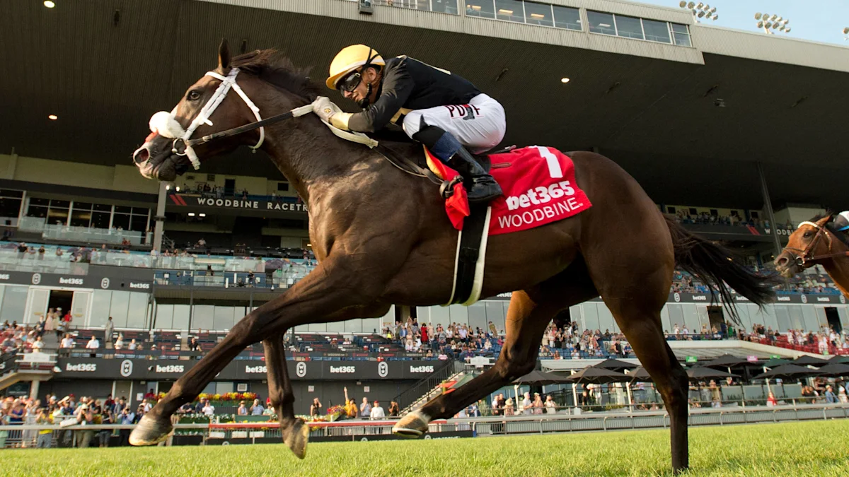 G1 Winner Placed Two Out Hero Headlines Inaugural Bricks And Mortar Stakes