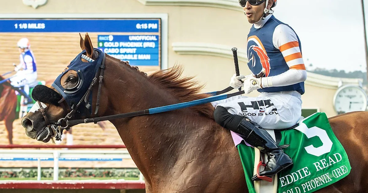 Gold Phoenix Aims for Possible Breeders' Cup Start