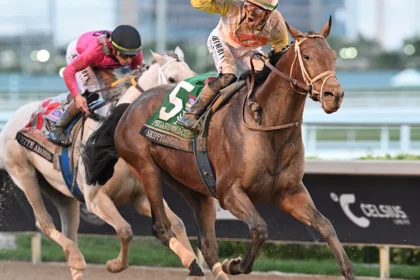 Grade 1 Winner Skippylongstocking to Stand at Amsterdam Two Farm in New York Upon Retirement