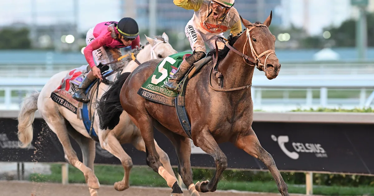 Grade 1 Winner Skippylongstocking to Stand at Amsterdam Two Farm in New York Upon Retirement