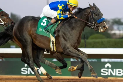 Graded Winner Imagination Retired to Mountain View Farm in New York