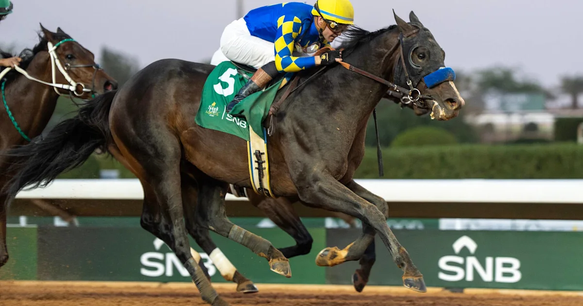 Graded Winner Imagination Retired to Mountain View Farm in New York