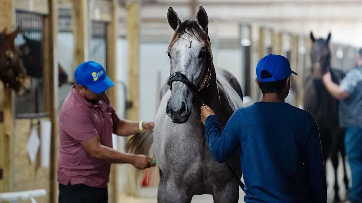 Hoosier Racing Community Invites Fans to 2026 ITOBA and QHRAI Sale Preview