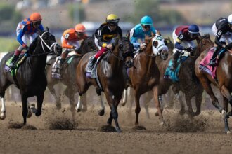 How to Watch 2026 Breeders' Cup Challenge Fall Stars Saturday: TV, Streaming Info, Schedule