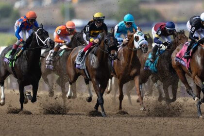 How to Watch 2026 Breeders' Cup Challenge Fall Stars Saturday: TV, Streaming Info, Schedule