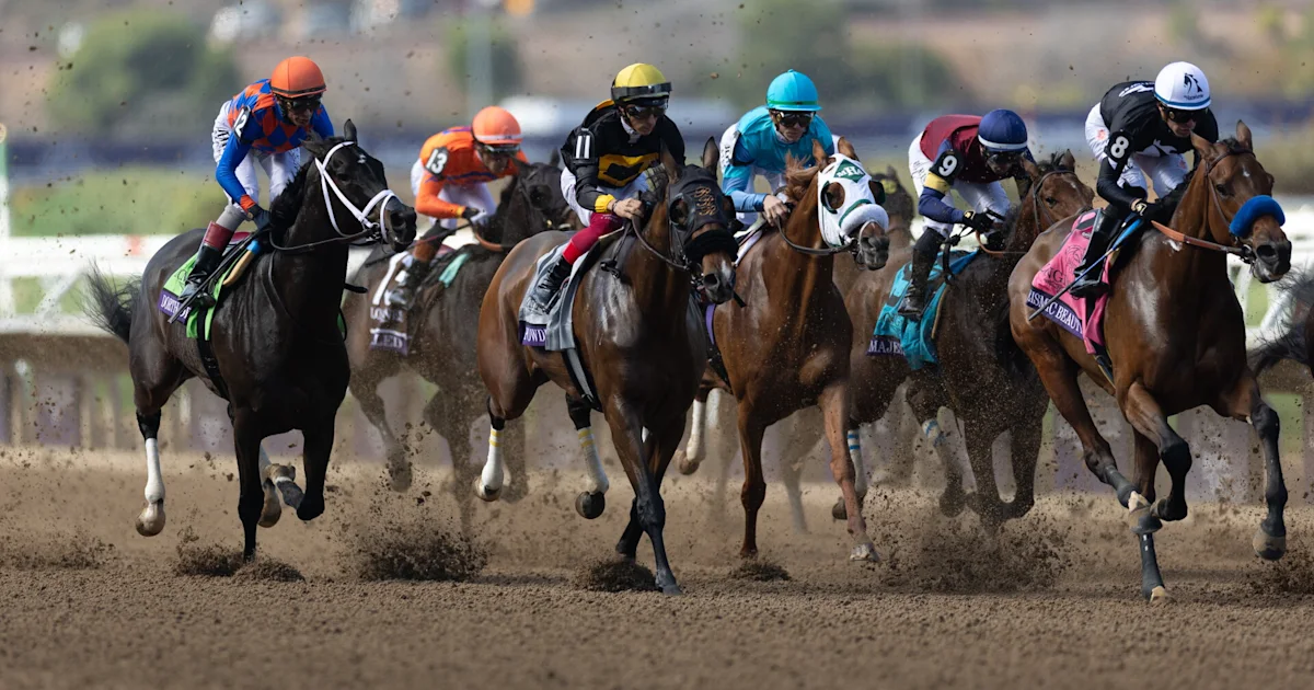 How to Watch 2026 Breeders' Cup Challenge Fall Stars Saturday: TV, Streaming Info, Schedule