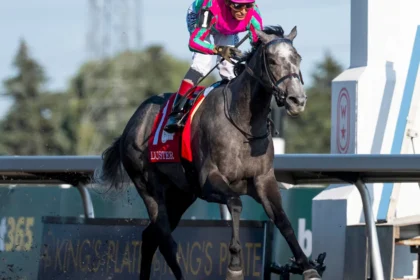 King's Plate Winner Luster Headlines QEII Challenge Cup Field