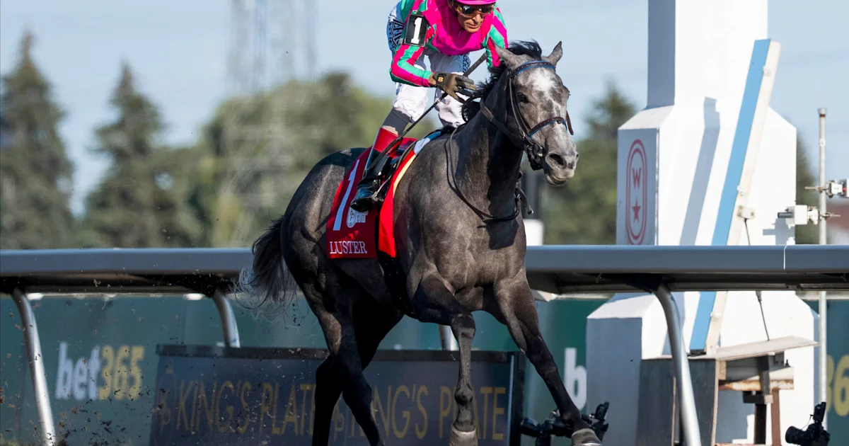 King's Plate Winner Luster Headlines QEII Challenge Cup Field