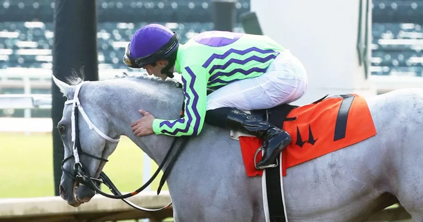 Millionaire Next officially announces retirement