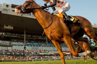 Millionaires Neat and Win For The Money Face Off in Miami Mile Overnight Handicap