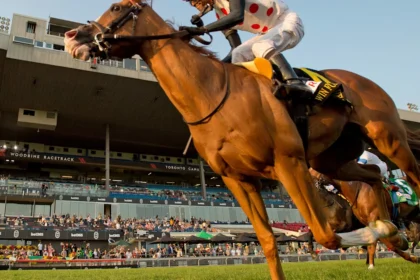 Millionaires Neat and Win For The Money Face Off in Miami Mile Overnight Handicap