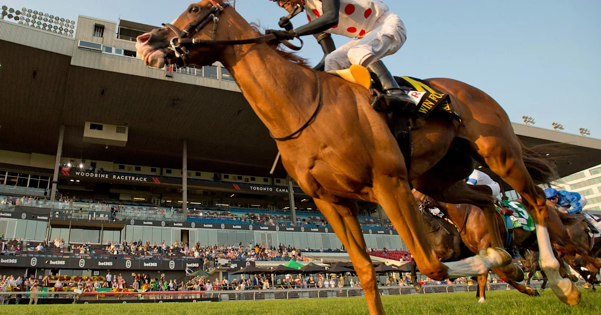 Millionaires Neat and Win For The Money Face Off in Miami Mile Overnight Handicap