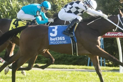 Mrs. D Denies Favorite Go For Launch in Woodbine's Algonquin Stakes
