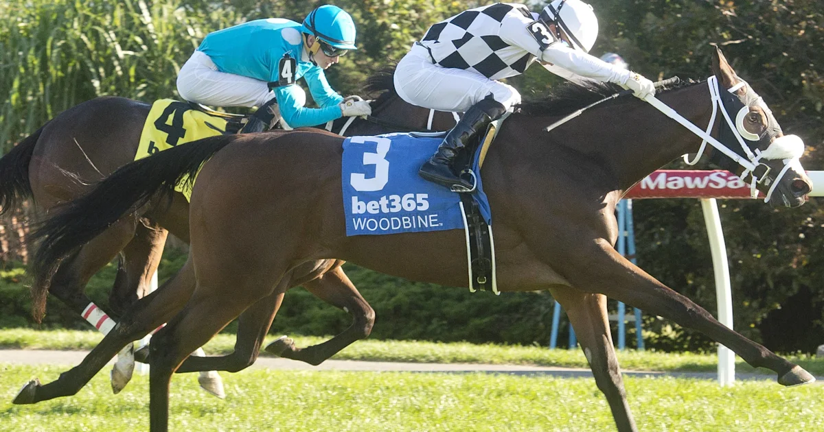 Mrs. D Denies Favorite Go For Launch in Woodbine's Algonquin Stakes